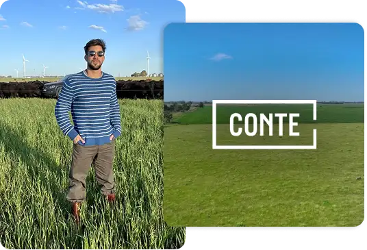 Joya Agro - Bruno - Conte